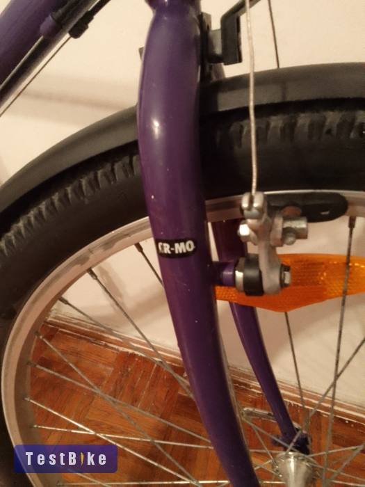 Vintage Bridgestone mb-6 mtb