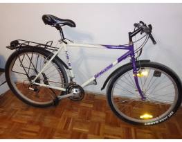 Vintage Bridgestone mb-6 mtb