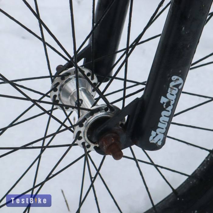 Wethepeople Curse 2018 20"