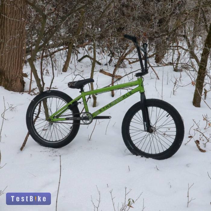 Wethepeople Curse 2018 20"