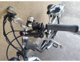 Wheeler E-Allterra Treking 2010