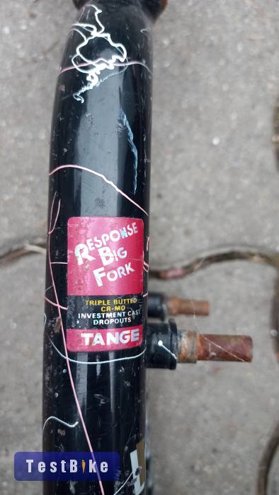 Wheeler Tange villa 26"