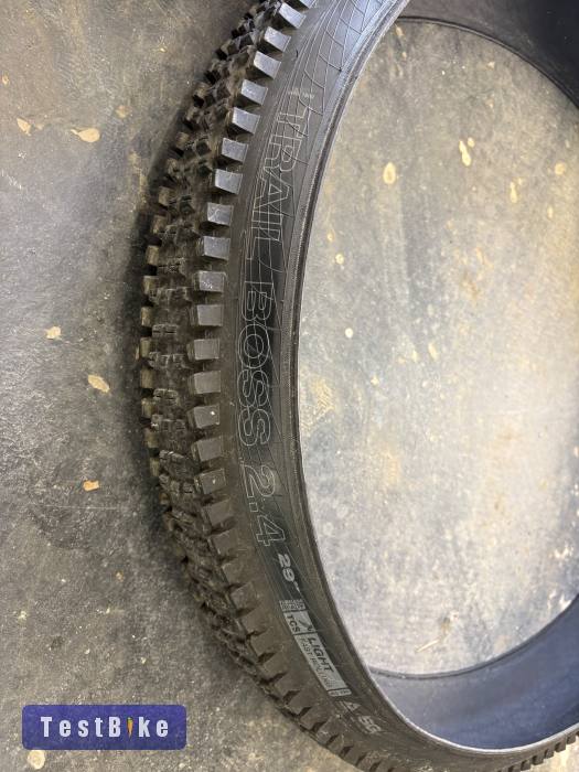 Wtb 29” gumik