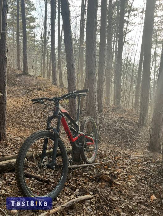 YT Capra 2018