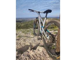 2019 YT Jeffsy 29 CF Pro Race XXL