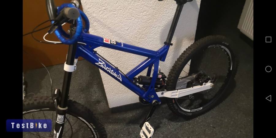 Zonenschein Archimedes DH evo Sram Boxxer Truvative Hope  