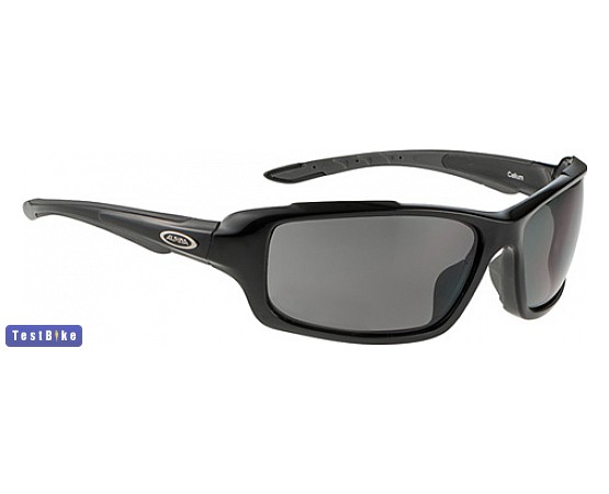 Alpina Callum 2013 szemüveg, fekete-szürke