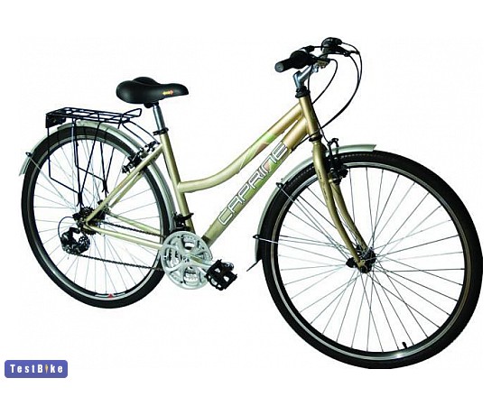 Caprine Wheelman 2010 trekking