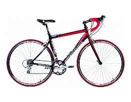 Capriolo Firebird 2011