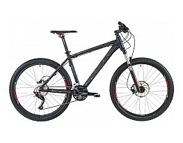 Cube LTD Race 2013