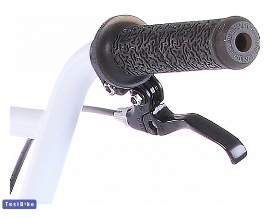 Eastern Nightwasp 2011 BMX