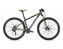 Focus Black Forest Ltd 29 2016
