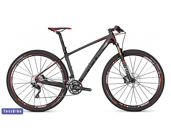 Focus raven 29er online