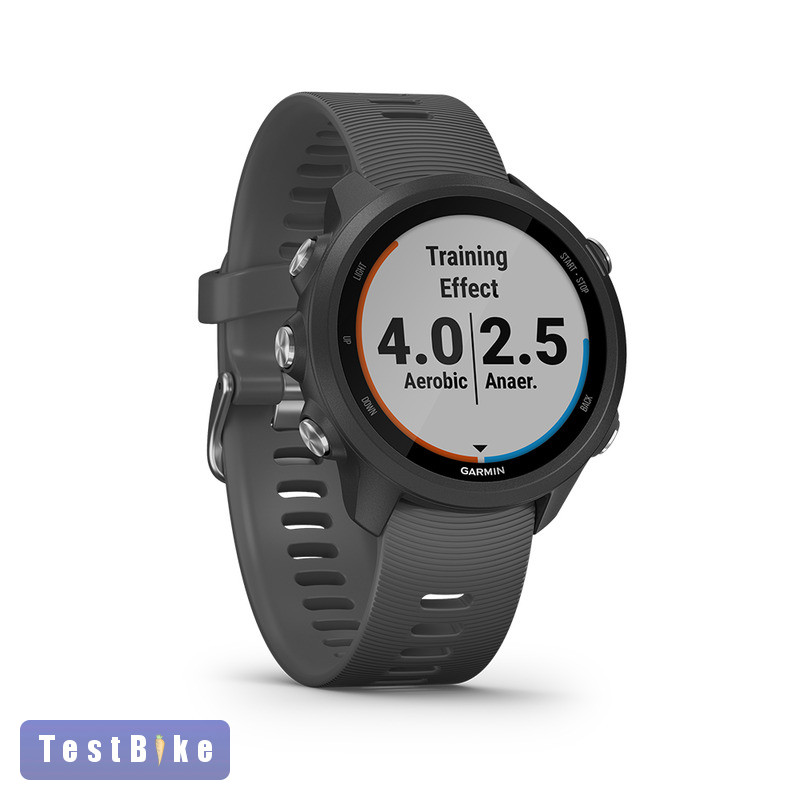 new garmin forerunner 2019