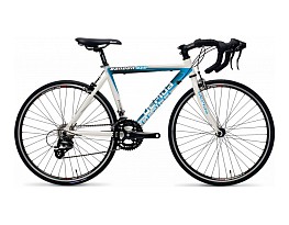 Gepida Bandon 410 2008