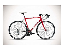 Gepida Bandon 810 2010