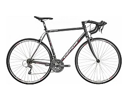 Gepida Bandon 810 2016