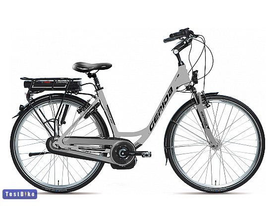 Gepida Reptila 1000 Dutch 2013 ebike / pedelec, fehér (női)