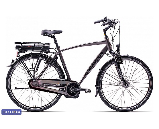 Gepida Reptila 1000 Dutch 2013 ebike / pedelec, szürke (férfi) ebike / pedelec