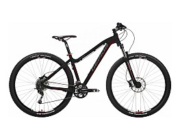 Gepida Ruga 29 2016