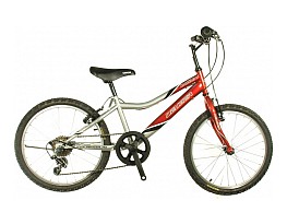 Neuzer Bobby 20 2011