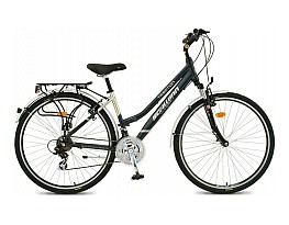 Schwinn-Csepel Traction 2010