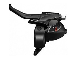 Shimano Tourney 2019