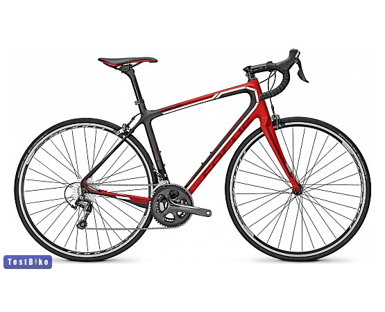 Focus Izalco Ergoride Tiagra Carbon 2016 országúti országúti