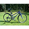 Caprine Cherokee  2000 mtb