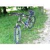 Caprine Forest  2008 mtb