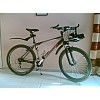 Caprine Forest  2008 mtb