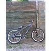Caprine X-Onlee Dirt Disc  2008 freeride