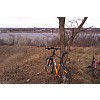 Kellys Salamander Orange 2010 mtb, ravaszp képe
