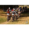 Kellys Salamander Orange 2011 mtb, timar83 képe