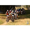 Kellys Salamander Orange 2011 mtb, timar83 képe