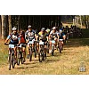 Kellys Salamander Orange 2011 mtb, timar83 képe