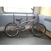 Mali Tyrant BMX