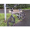 Mali Tyrant  2008 BMX