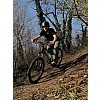 Marzocchi Dirt Jumper 3  2008 első teleszkóp