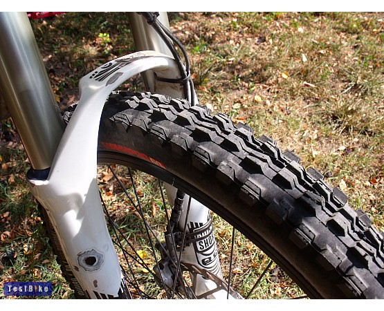 maxxis minion front