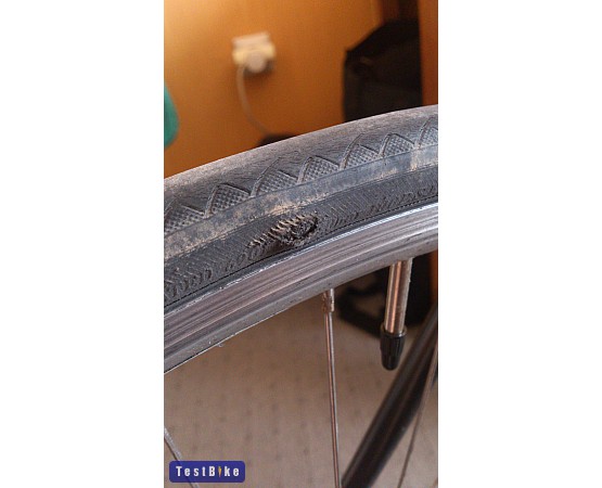 PANARACER CatalystSport - Copertone al miglior prezzo
