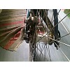 Rodi DH disc  2009 felni
