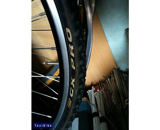 cx pro schwalbe