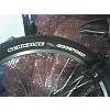 Schwalbe Crazy Bob  2008 külső gumi
