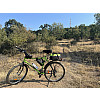 Schwinn-Csepel Woodlands városi/cruiser/fitnesz