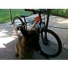 Shimano Acera hátsó váltó