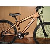 Wenson Dirt Street 9.5 2008 freeride, minden rider képe