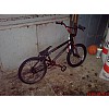 Wethepeople Trust  2009 BMX